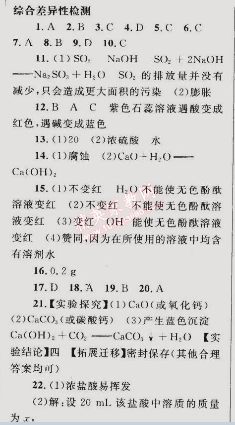 2015年同步轻松练习九年级化学下册人教版 综合差异性检测