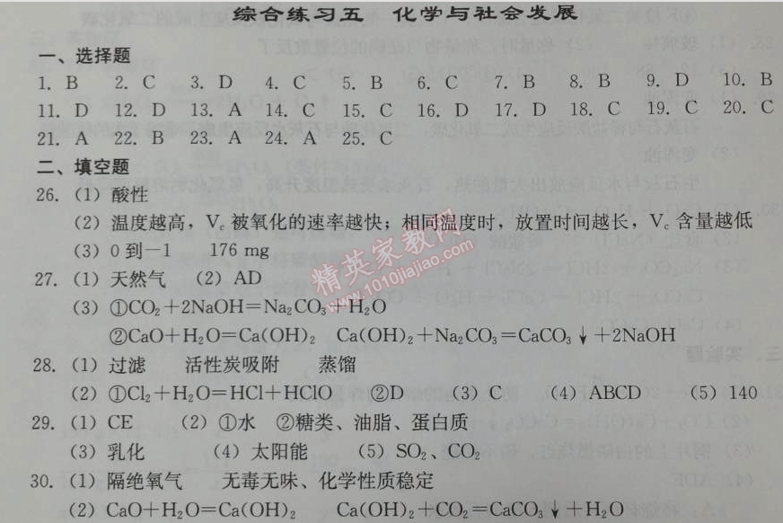 2014年学习探究诊断九年级化学下册人教版 综合练习五