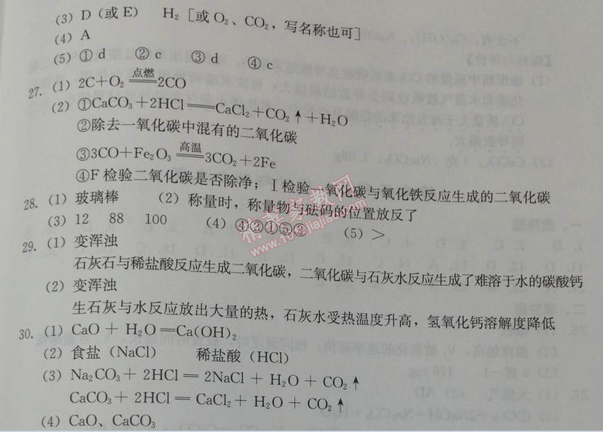 2014年學(xué)習(xí)探究診斷九年級化學(xué)下冊人教版 綜合練習(xí)四