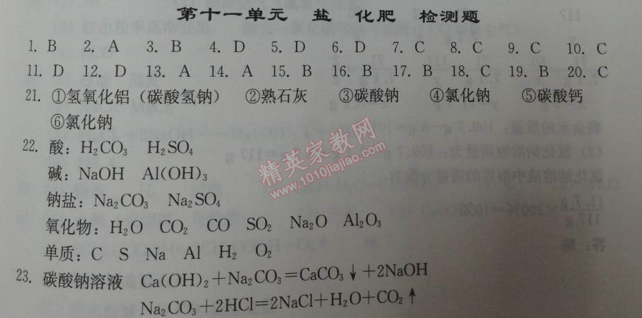 2014年學(xué)習(xí)探究診斷九年級化學(xué)下冊人教版 第十一單元檢測題