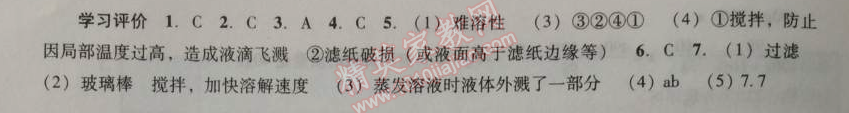 2014年學(xué)習(xí)與評價九年級化學(xué)全一冊人教版 十一單元