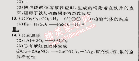 2015年综合应用创新题典中点九年级化学下册人教版 实验活动4