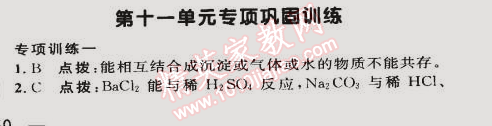 2015年综合应用创新题典中点九年级化学下册人教版 十一单元专项巩固训练