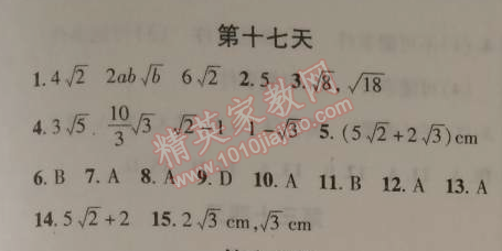 2015年快樂寒假八年級數(shù)學(xué)寒假作業(yè)北京課改版 17