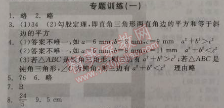 2014年全品學(xué)練考八年級數(shù)學(xué)上冊北師大版 專題訓(xùn)練一