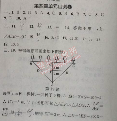 2014年通城學(xué)典課時(shí)作業(yè)本九年級(jí)數(shù)學(xué)上冊(cè)北師大版 第四章單元自測(cè)卷