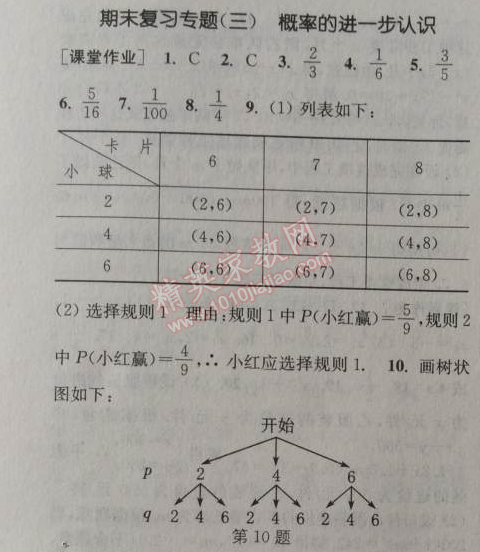 2014年通城學(xué)典課時(shí)作業(yè)本九年級(jí)數(shù)學(xué)上冊(cè)北師大版 復(fù)習(xí)專題二