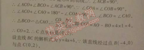 2014年高效課時(shí)通10分鐘掌控課堂九年級(jí)數(shù)學(xué)下冊(cè)北師大版 章末專題