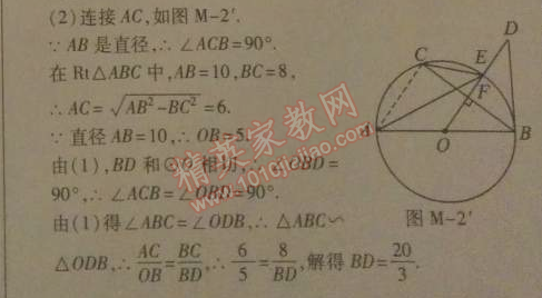 2014年高效課時(shí)通10分鐘掌控課堂九年級數(shù)學(xué)下冊北師大版 期末檢測卷