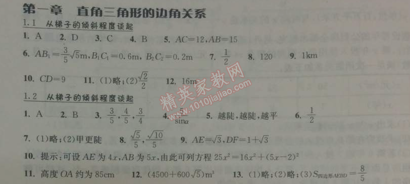 2014年长江作业本同步练习册九年级数学下册北师大版 第一章1