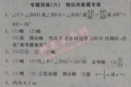 2014年全品学练考九年级数学上册华师大版 专题训练六