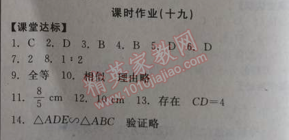 2014年全品学练考九年级数学上册华师大版 课时作业19