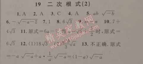 2015年藍天教育寒假優(yōu)化學習八年級數(shù)學人教版 19