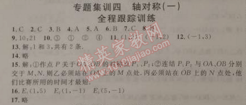 2015年寒假總動(dòng)員八年級(jí)數(shù)學(xué)人教版 專題集訓(xùn)四