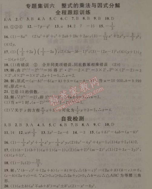 2015年寒假總動員八年級數學人教版 專題集訓六