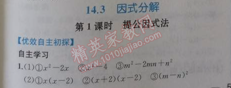 2014年同步導(dǎo)學(xué)案課時(shí)練八年級數(shù)學(xué)上冊人教版 14.3第一課時(shí)