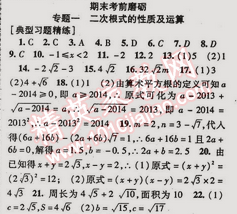 2015年金榜行動八年級數學下冊人教版 專題一