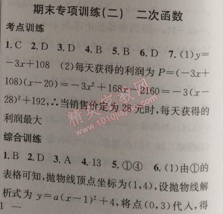 2014年黄冈金牌之路练闯考九年级数学上册人教版 期末专项训练二