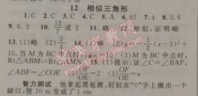 2015年藍(lán)天教育寒假優(yōu)化學(xué)習(xí)九年級(jí)數(shù)學(xué)人教版 12