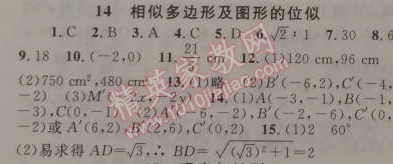 2015年藍(lán)天教育寒假優(yōu)化學(xué)習(xí)九年級(jí)數(shù)學(xué)人教版 14