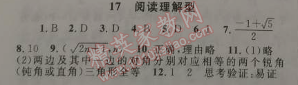 2015年藍(lán)天教育寒假優(yōu)化學(xué)習(xí)九年級數(shù)學(xué)人教版 17