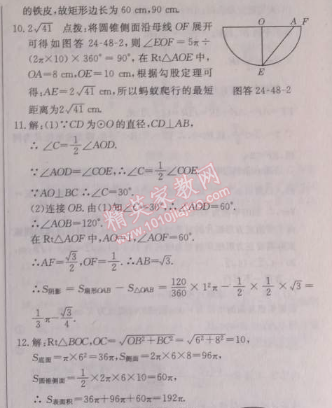 2014年啟東中學(xué)作業(yè)本九年級(jí)數(shù)學(xué)上冊(cè)人教版 作業(yè)四十八