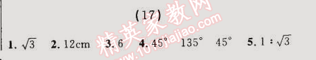 2014年誠(chéng)成教育學(xué)業(yè)評(píng)價(jià)九年級(jí)數(shù)學(xué)上冊(cè)人教版 17