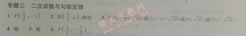 2014年長江作業(yè)本同步練習(xí)冊九年級數(shù)學(xué)下冊人教版 專題三