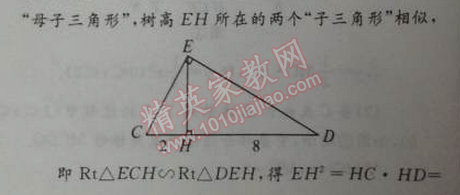 2014年初中同步測控優(yōu)化設(shè)計九年級數(shù)學(xué)下冊人教版 二十七章測評