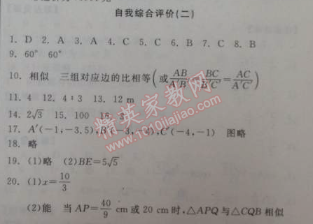 2014年全品学练考九年级数学下册华师大版 自我综合评价二