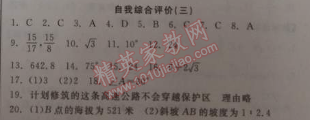 2014年全品学练考九年级数学下册华师大版 自我综合评价三