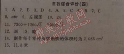 2014年全品学练考九年级数学下册华师大版 自我综合评价四