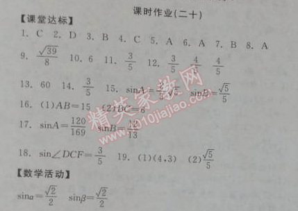 2014年全品学练考九年级数学下册华师大版 课时作业二十