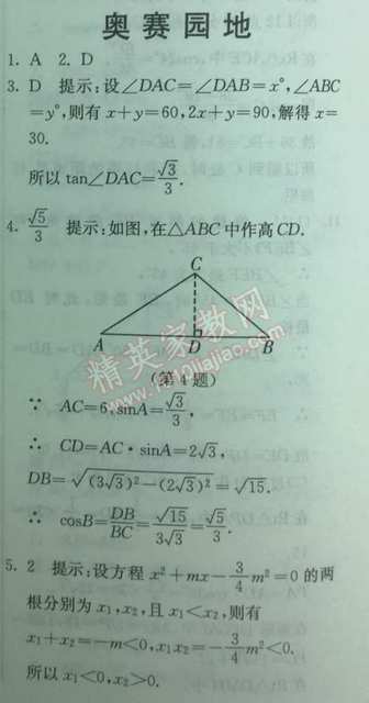 2014年实验班提优训练九年级数学下册人教版 奥赛园地