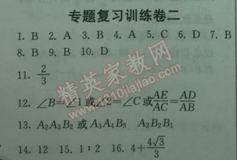 2014年实验班提优训练九年级数学下册人教版 专题复习训练卷二