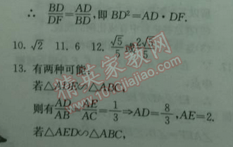 2014年实验班提优训练九年级数学下册人教版 27.2.1