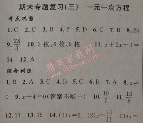 2014年黃岡金牌之路練闖考七年級數(shù)學上冊人教版 期末專題復(fù)習三