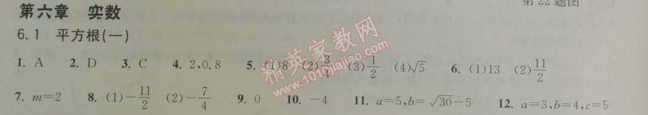 2014年長江作業(yè)本同步練習(xí)冊七年級數(shù)學(xué)下冊人教版 6.1.1