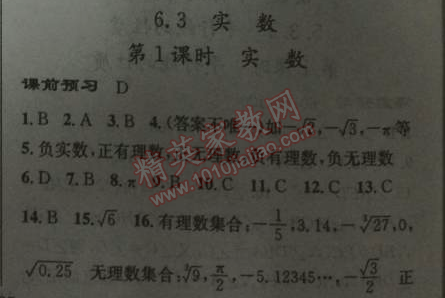 2014年黃岡金牌之路練闖考七年級(jí)數(shù)學(xué)下冊(cè)人教版 6.3