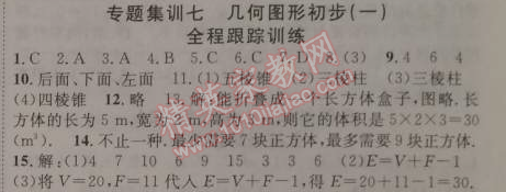 2015年寒假總動(dòng)員七年級(jí)數(shù)學(xué)人教版 專題集訓(xùn)七