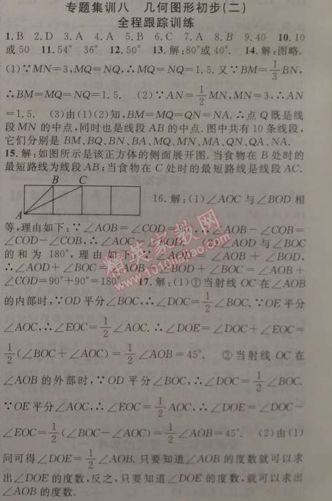 2015年寒假總動員七年級數(shù)學(xué)人教版 專題集訓(xùn)八