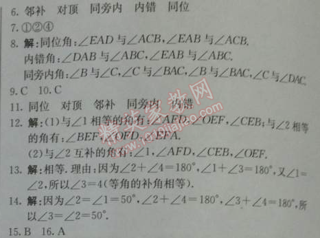 2014年1加1轻巧夺冠优化训练七年级数学下册人教版银版 5.1.3