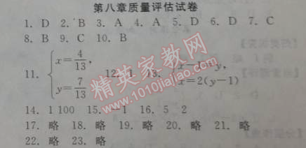 2014年全效學(xué)習(xí)七年級(jí)數(shù)學(xué)下冊(cè)人教版 第八章質(zhì)量評(píng)估試卷