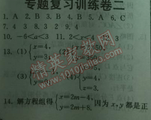 2014年實驗班提優(yōu)訓(xùn)練七年級數(shù)學(xué)下冊人教版 復(fù)習(xí)訓(xùn)練卷二