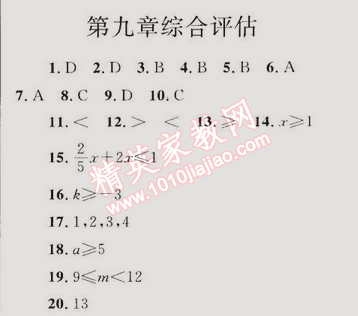 同步轻松练习七年级数学下册人教版 第九章综合评估