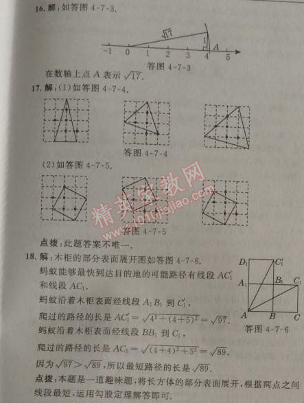 2014年點撥訓(xùn)練八年級數(shù)學(xué)上冊蘇科版 4