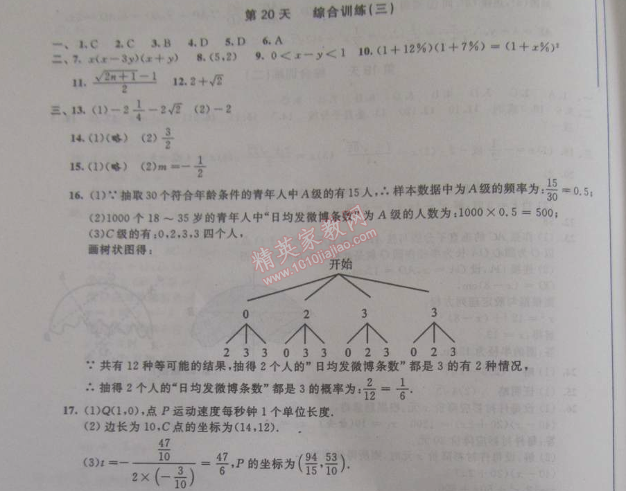 2015年優(yōu)化學習寒假20天九年級數(shù)學江蘇版 20