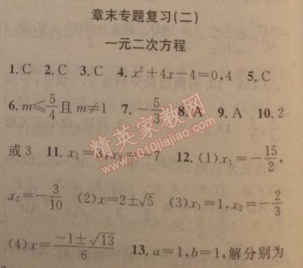 2014年黄冈金牌之路练闯考九年级数学上册湘教版 专题复习