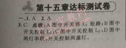 2014年綜合應(yīng)用創(chuàng)新題典中點九年級物理上冊人教版 十五章達(dá)標(biāo)測試卷