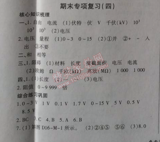 2014年高效课时通10分钟掌控课堂九年级物理上册人教版 期末专项复习4